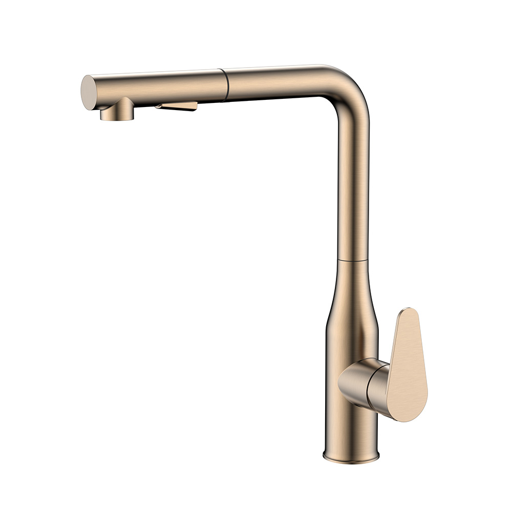 Batidora de cocina de acero inoxidable de oro rosa con spray spine